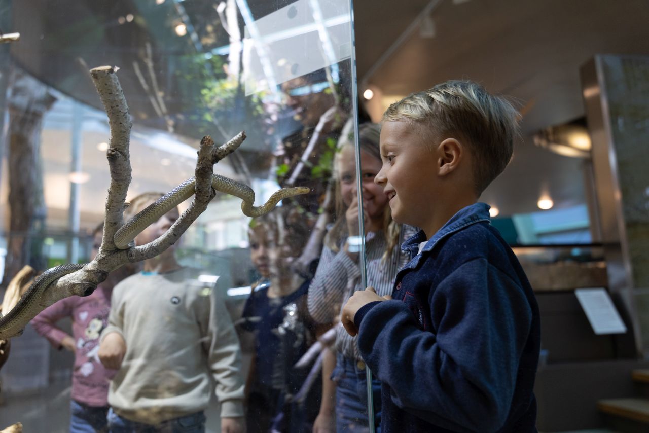 Haus der Natur, Innenaufnahme